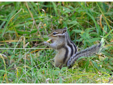 �������� ������ �������...