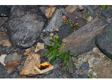 � �� ����� ���� �����