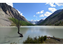 ������� ����� ������