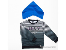 ���� ���������� ���������