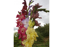 ����������� 567.jpg