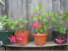 ������ � ������� � ��������