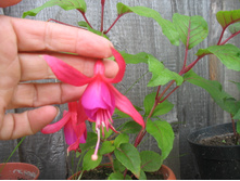 ���� 261.jpg