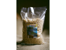 �������� ����