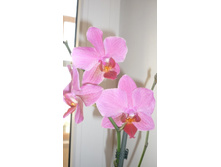 ���������� �� ������