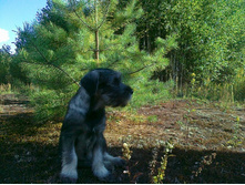 � ������