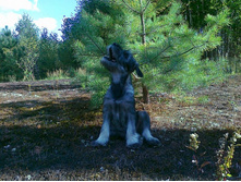 ����� ��� ����, ������ �� ���� :)))