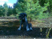 ����� ��, ��� ������� �����, � ����� ������.... :)