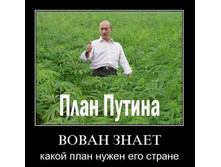 ���� ������.jpg