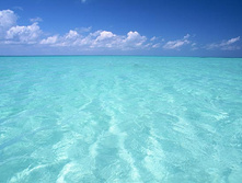 �������� �����