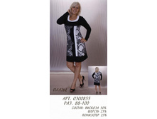 0300855 (850 -00).jpg