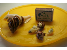 ���� ������� - ������ ������ 004.jpg