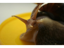 ���� ������� - ������ ������ 022.jpg