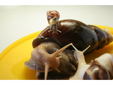 ���� ������� - ������ ������ 024.jpg