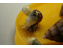 ���� ������� - ������ ������ 027.jpg