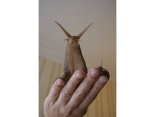 ���� ������� - ������ ������ 036.jpg