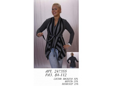 247355 1 (680-00).jpg