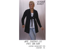 310345 1 (630-00).jpg