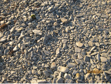 ������ 060.jpg