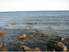 ������ 201.jpg