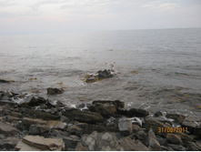 ������ 313.jpg