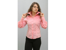 �������  ����� 584 ���� 850�+%