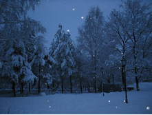 ������ ������