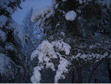 �����������  ���