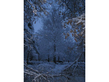 ��� � ������