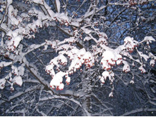 ������ �����JPG