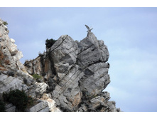 ���� 2011.08.23 13.26.28.JPG