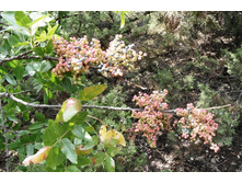 ���� 2011.08.23 14.56.31.JPG