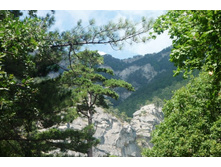 ���� 2011.08.25 13.22.03.JPG