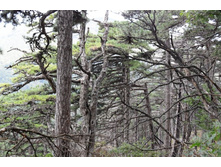 ���� 2011.08.25 14.02.25.JPG