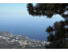 ���� 2011.08.25 16.32.41.JPG