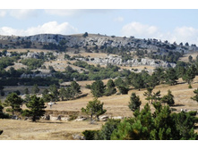 ���� 2011.08.25 16.42.52.JPG