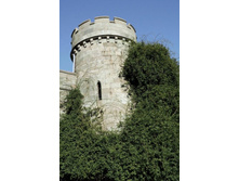 ���� 2011.08.26 18.28.21.JPG