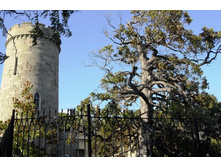 ���� 2011.08.26 18.35.29.JPG