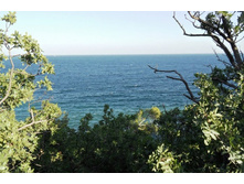 ���� 2011.08.26 18.47.22.JPG