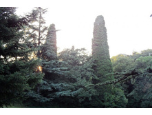 ���� 2011.08.26 19.20.46.JPG