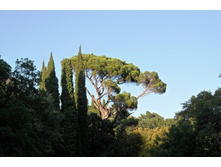 ���� 2011.08.26 19.24.49.JPG