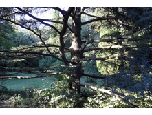 ���� 2011.08.26 19.35.13.JPG