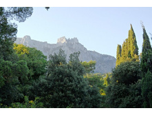 ���� 2011.08.26 19.40.23.JPG