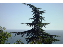 ���� 2011.08.28 17.06.27.JPG