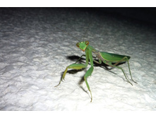 ���� 2011.08.28 22.56.26.JPG