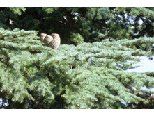 ���� 2011.08.30 16.44.17.JPG