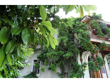 ���� 2011.08.30 17.00.52.JPG