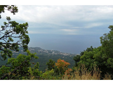 ���� 2011.08.31 10.02.48.JPG