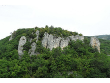 ���� 2011.08.31 11.07.57.JPG