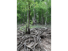 ���� 2011.08.31 13.30.58.JPG